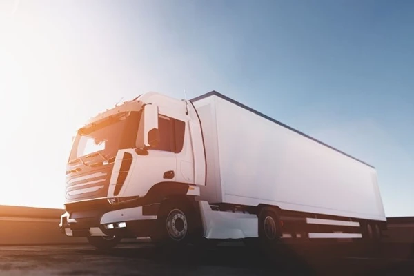 Ankara Sapanca, Nakliye Firması